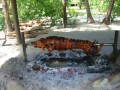 Thumbs/tn_Img_1573.jpg